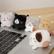 おもち※の画像