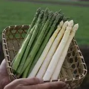 Kawasoe Farm（MKMK）の画像