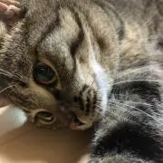 さちの画像