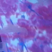 ながれんの画像