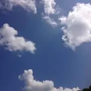 せんべいの画像