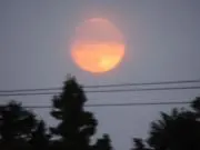 紋の画像