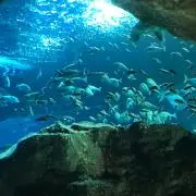 断捨離中の画像