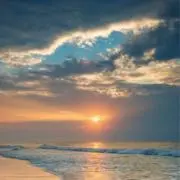 * 海の宝貝まとめ歓迎*の画像