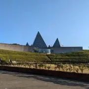 ひろひろの画像