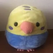 カナフロンティアの画像