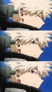 silkyの画像