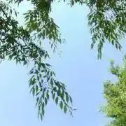 らりる