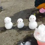 よーこの画像