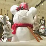 ゆきはの画像