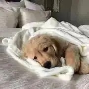 まるの画像