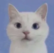お願いしますの画像