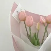 めろんの画像