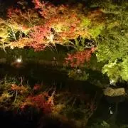 おしずしの画像