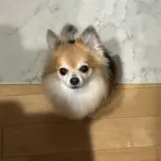KU〜の画像