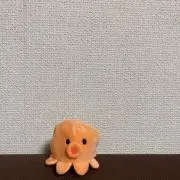 んちゃの画像