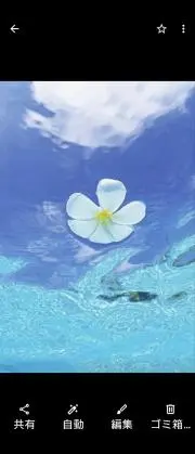 ナナの画像