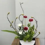 キンモクセイの画像