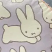 cocoの画像