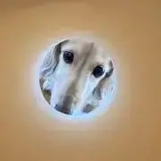 まさまさの画像