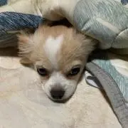 Dioセール中