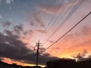 ドリームの画像