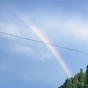 千雪の画像
