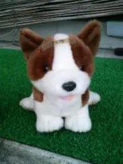 しんちゃんの画像