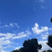 やまの画像