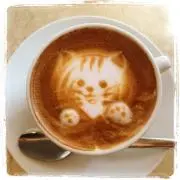 popoの画像