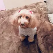 ミリーさん♪断捨離色々♡の画像