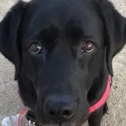 kazoooonの画像