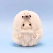 はるまきの画像