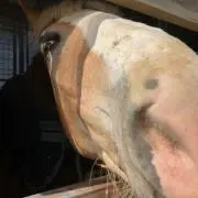 おえかきまま　おまとめ購入お値引きしますの画像