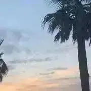 ♡の画像