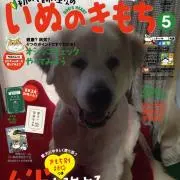 きき
