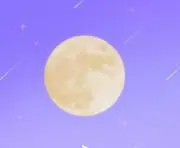 9r.i.p. ナインリップ 缶バッジ Switch 魅ナミ - メルカリ