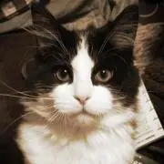 nana