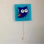 こまゆの画像