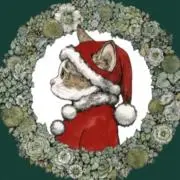 ankoの画像