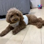 ⭐︎まんぷく堂⭐︎の画像