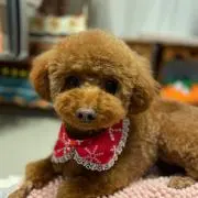 Rieの画像