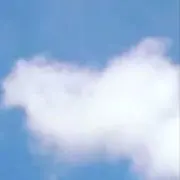 kotoの画像