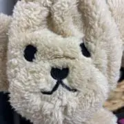 panの画像