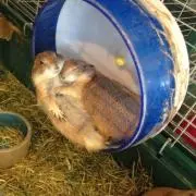 そら