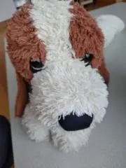 タプタの画像