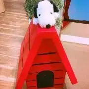 KANARIAの画像