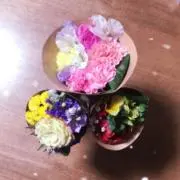 shippuʕ•ᴥ•ʔの画像