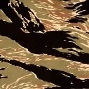 mskの画像