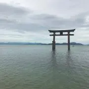 年中無休　サイコーの画像